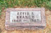 Effie_Branch_stone.jpg (93400 bytes)
