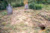 Ground_hog_hole.jpg (96099 bytes)