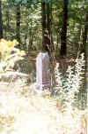 John_Phelps_stone_1.jpg (78506 bytes)