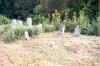 Mann_Cemetery_view.jpg (81353 bytes)