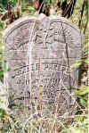 Sallie_Phelps_Patrick_stone.jpg (99778 bytes)