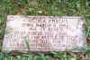 Virginia_Phelps.jpg (90805 bytes)