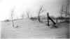 Dust_bowl.jpg (63058 bytes)