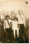 33.jpg (73455 bytes)